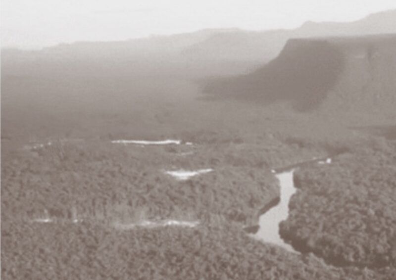 COP 30 – Brasil conseguiu apoio de 50 países