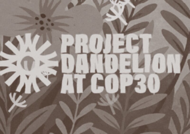 COP30, a maior e principal cúpula do Clima do planeta.